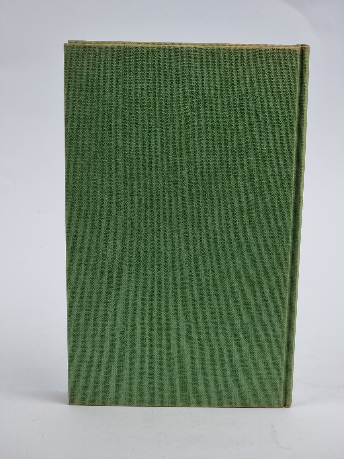 The Memoirs of a Survivor, Doris Lessing — 1st Edition