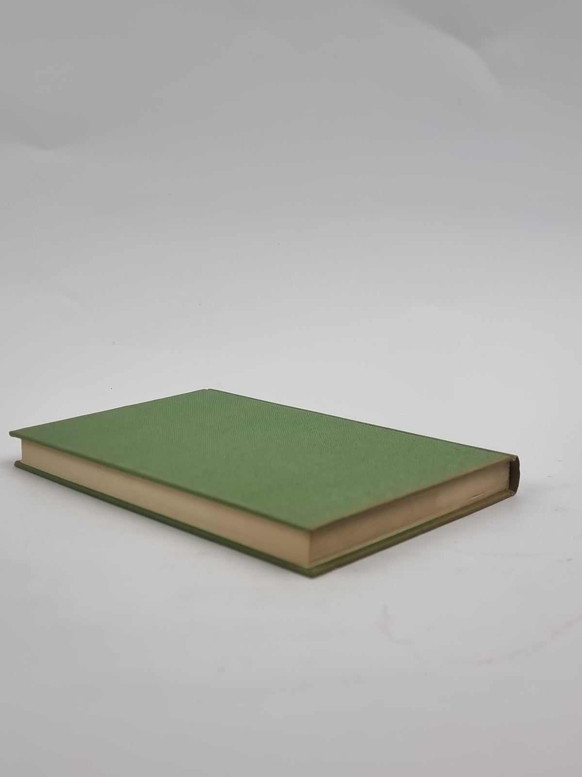 The Memoirs of a Survivor, Doris Lessing — 1st Edition
