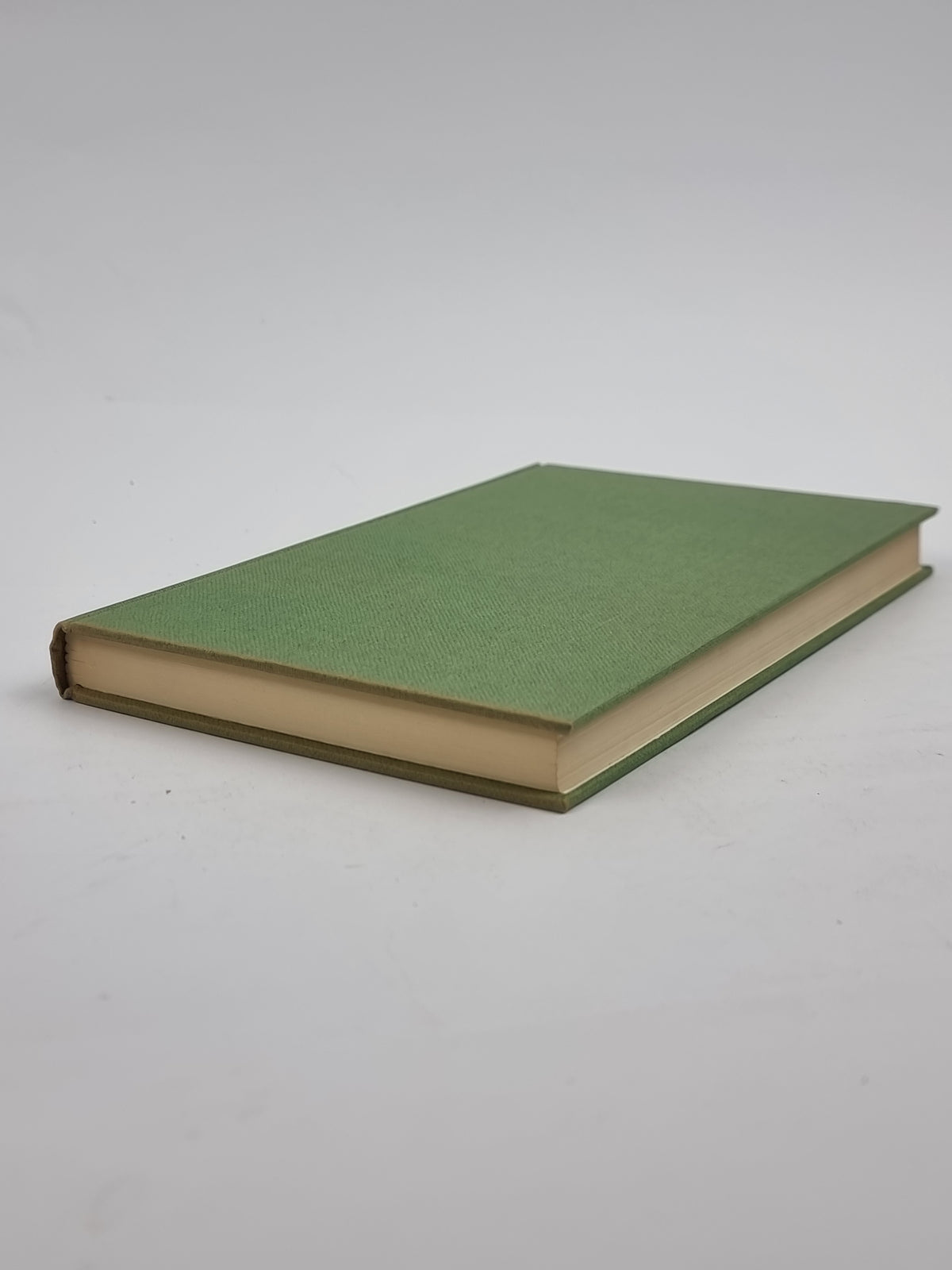 The Memoirs of a Survivor, Doris Lessing — 1st Edition