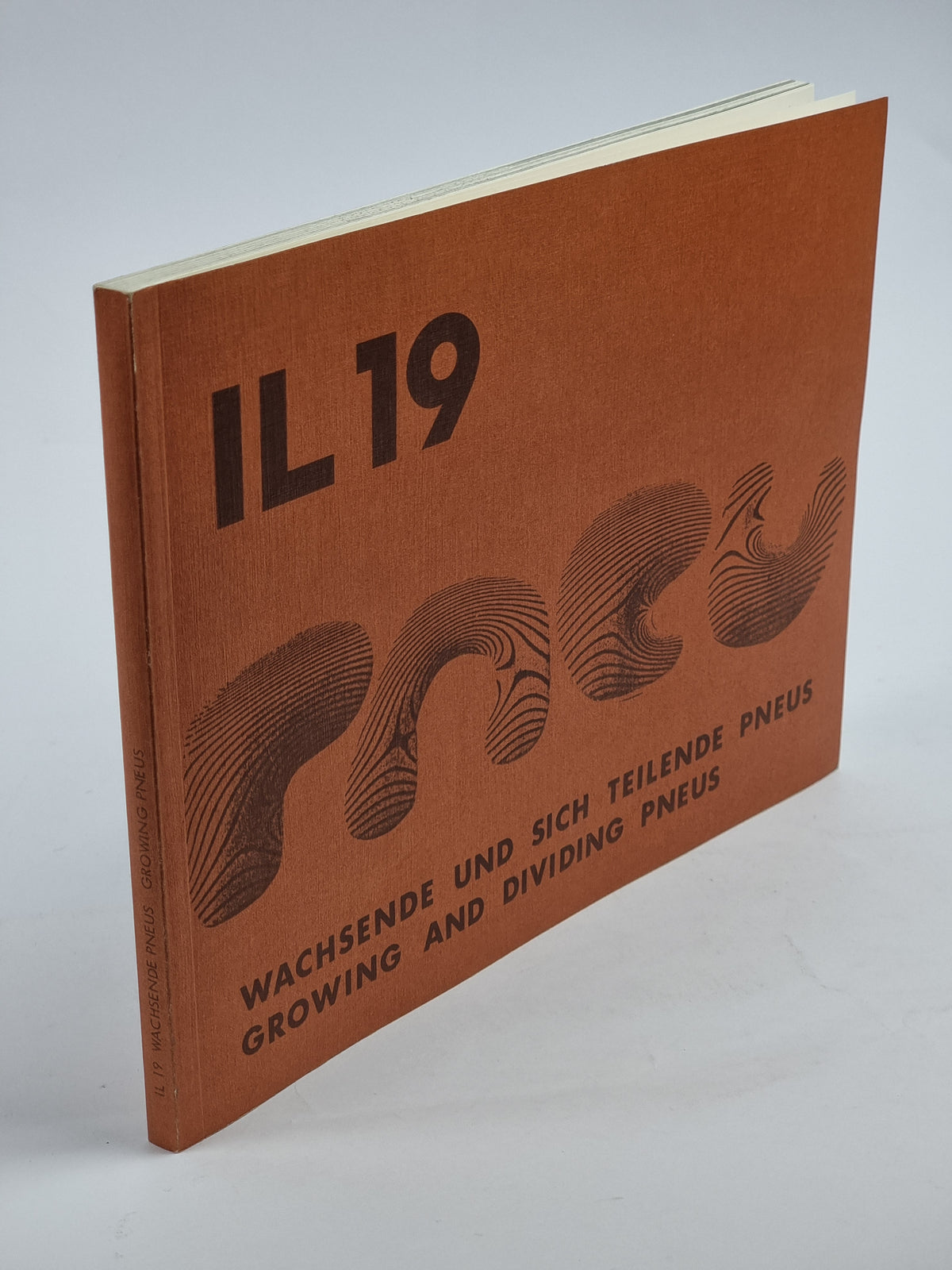 IL 19: Wachsende und sich teilende Pneus / Growing and Dividing Pneus