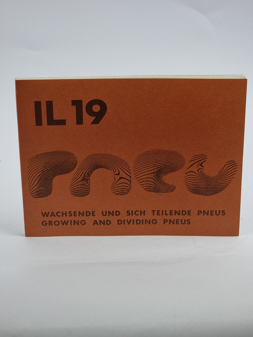 IL 19: Wachsende und sich teilende Pneus / Growing and Dividing Pneus
