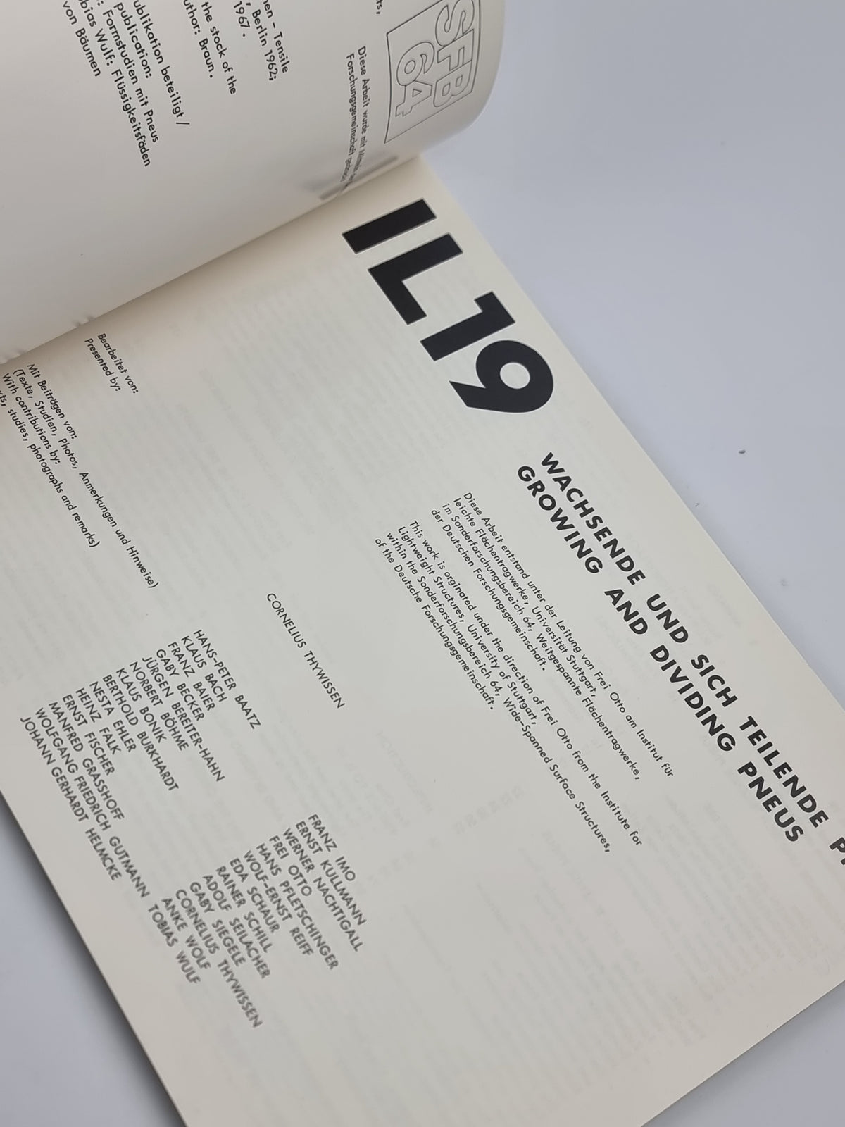 IL 19: Wachsende und sich teilende Pneus / Growing and Dividing Pneus