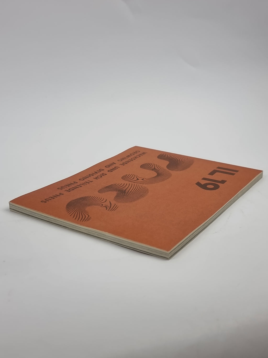 IL 19: Wachsende und sich teilende Pneus / Growing and Dividing Pneus