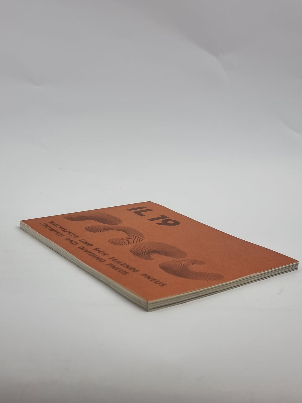 IL 19: Wachsende und sich teilende Pneus / Growing and Dividing Pneus