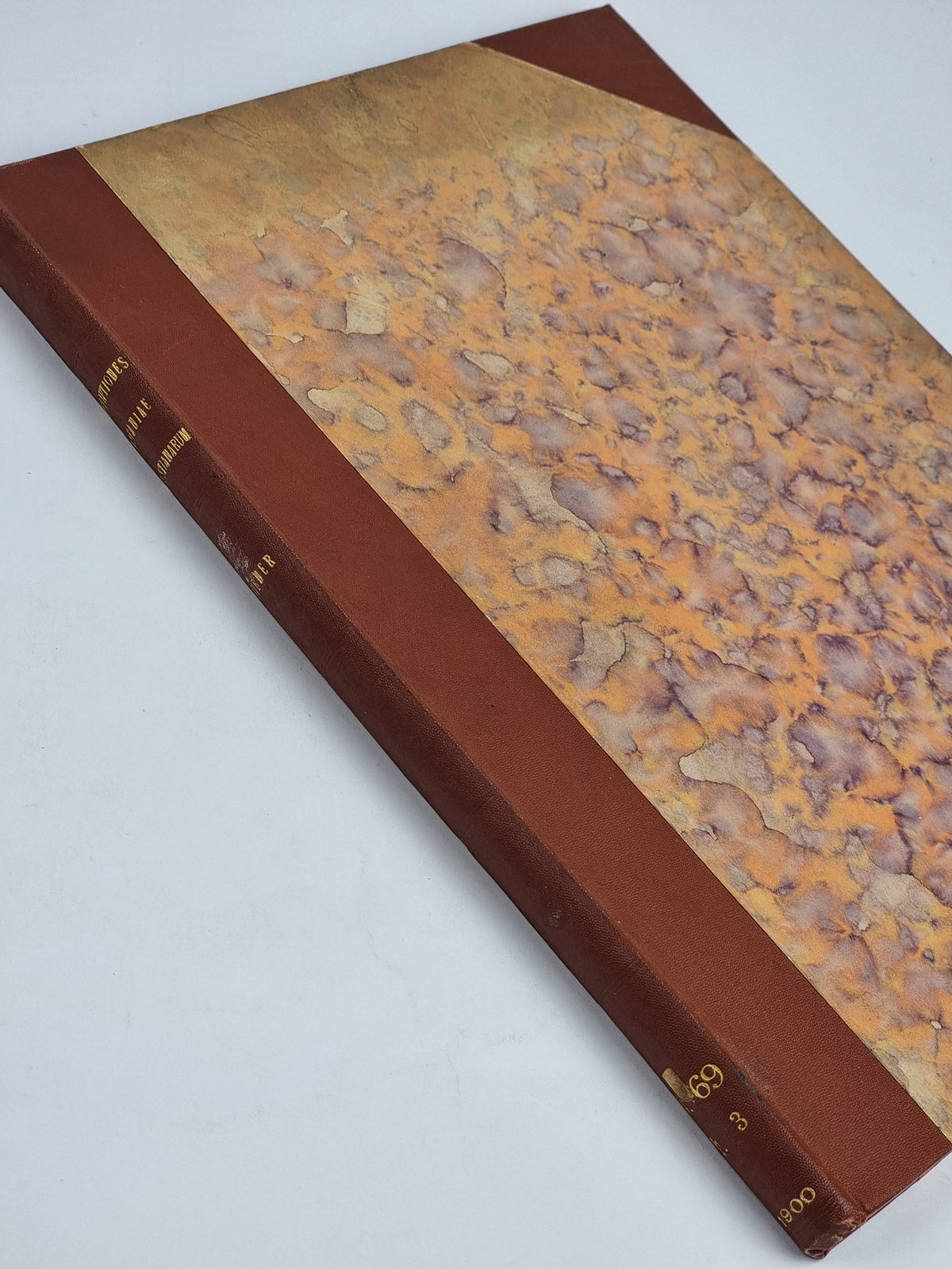Inscriptionum Hispaniae Christianarum Supplementum, Aemilius Hübner — 1st Ed