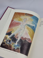 The Separate Plates of William Blake: A Catalogue, Robert N. Essick