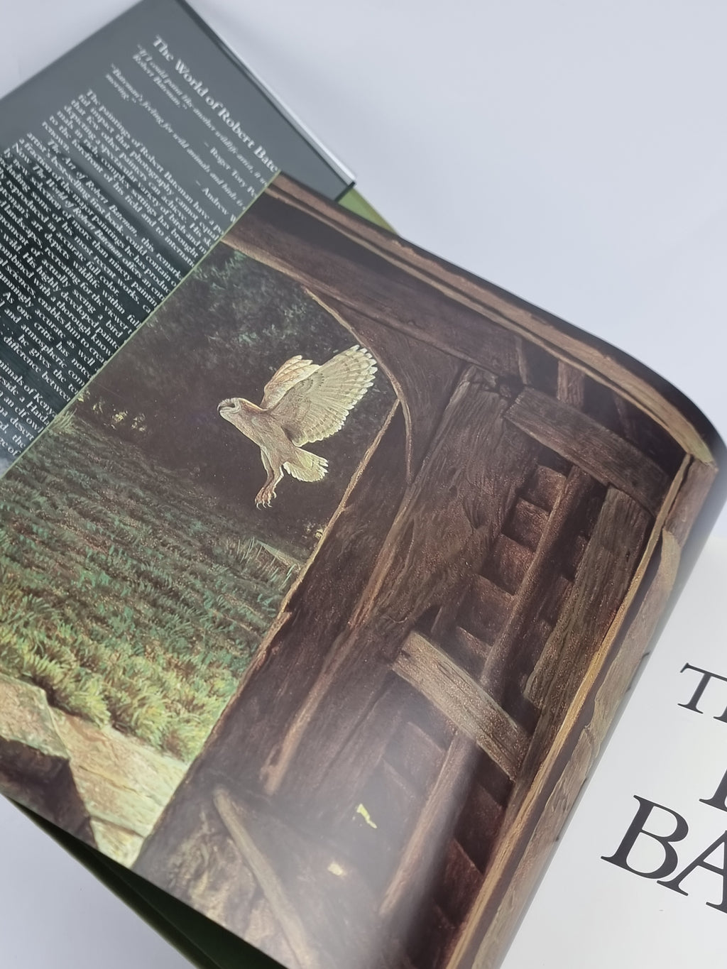 The World of Robert Bateman, Ramsay Derry — 1st Edition