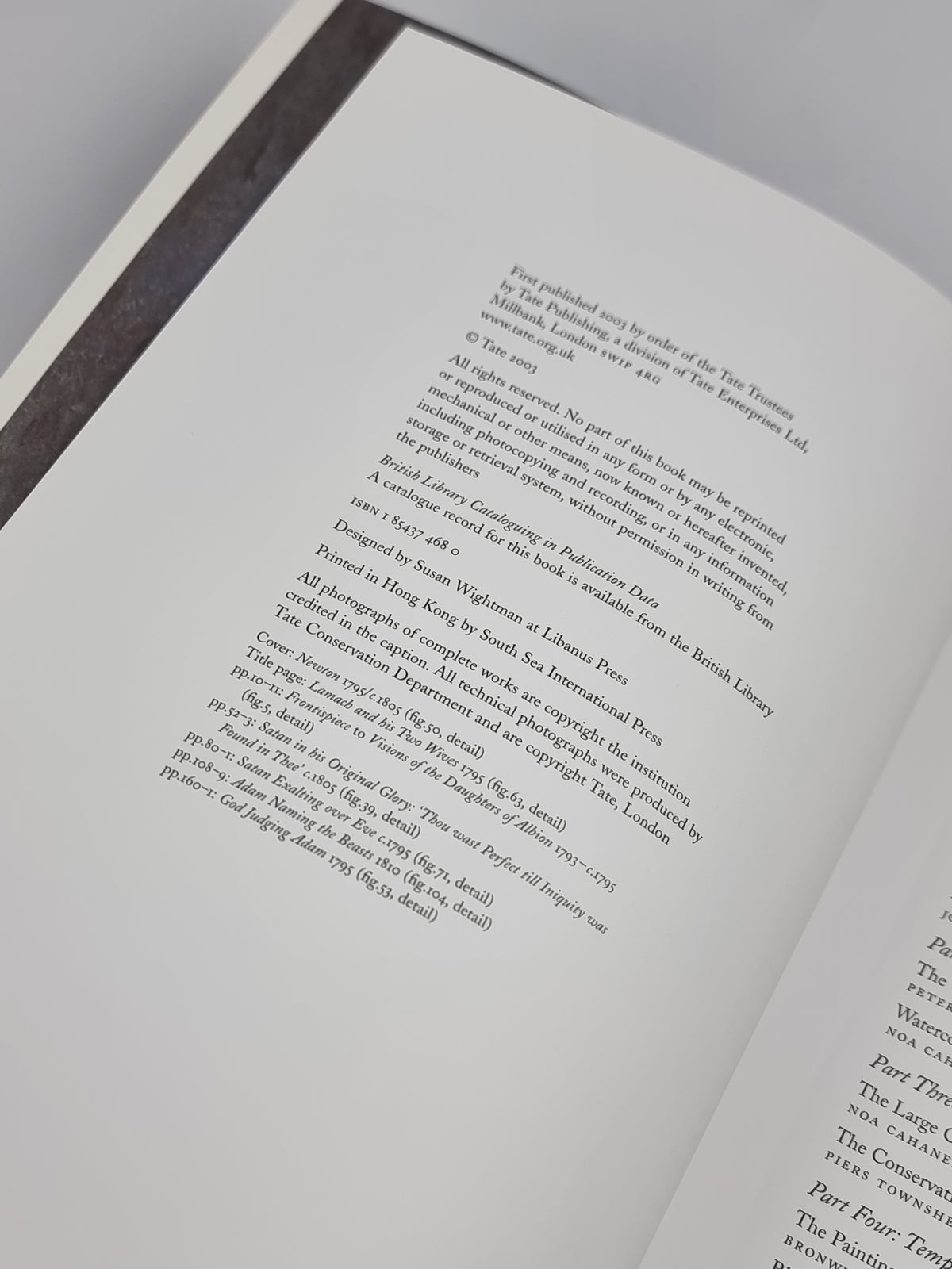 William Blake The Painter at Work, Joyce H. Townsend — 1st Ed