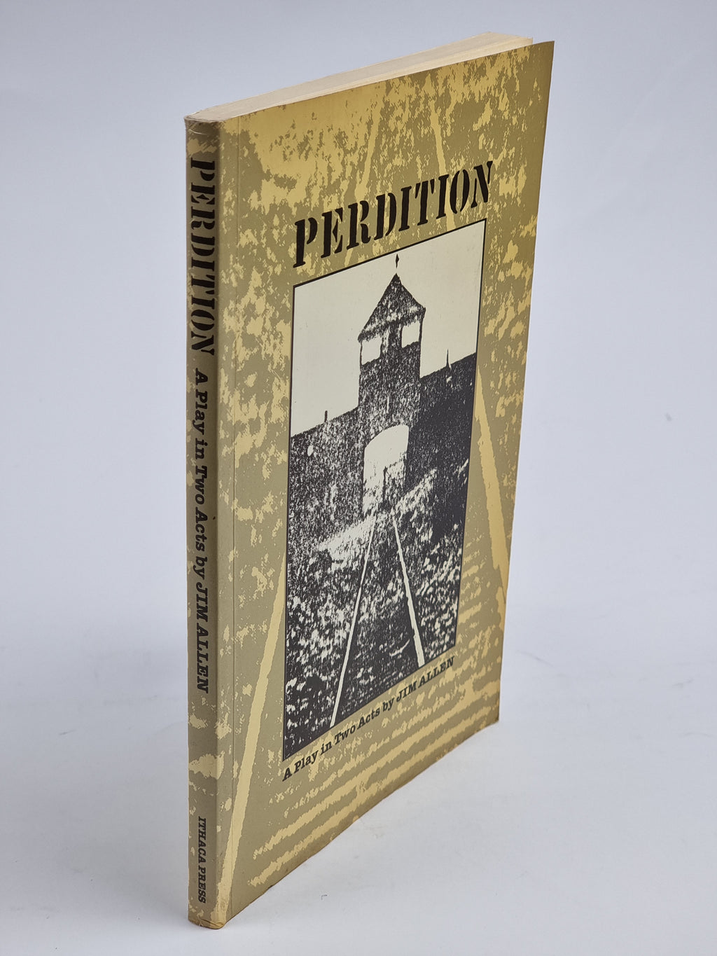 Perdition, Jim Allen — 1st Edition