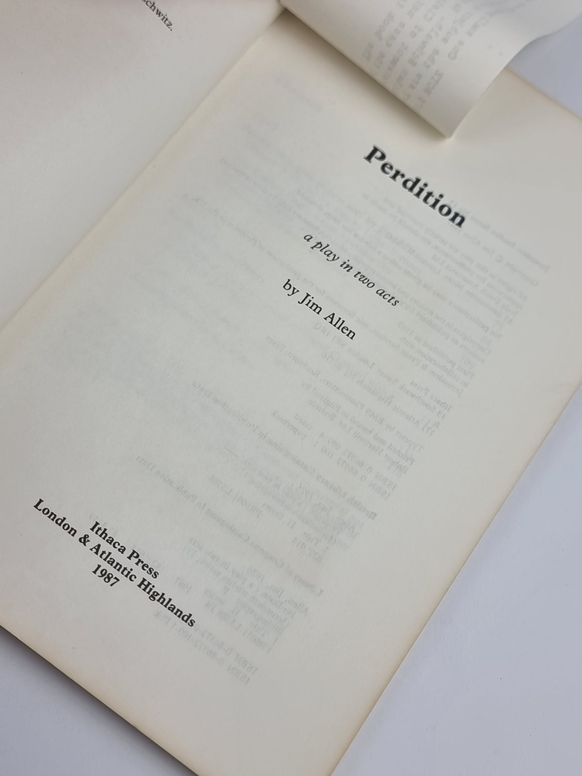 Perdition, Jim Allen — 1st Edition