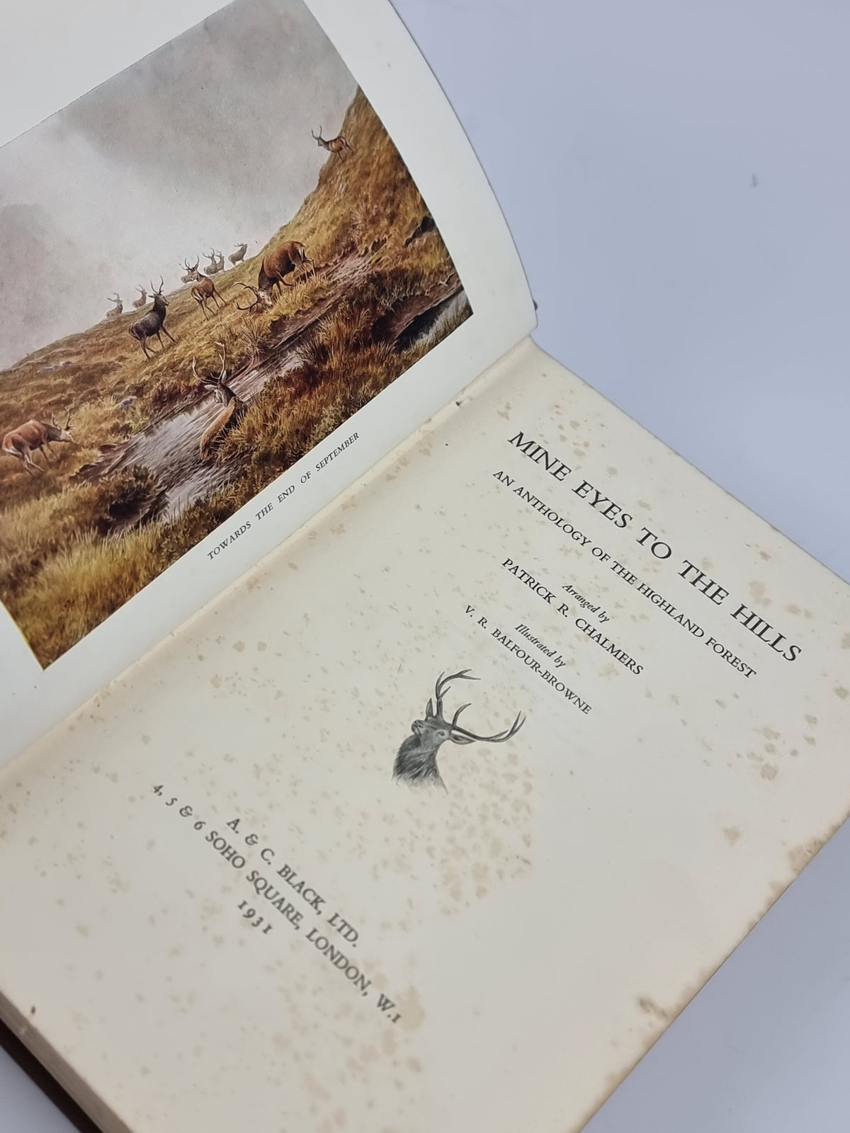 Mine Eyes to the Hills, Patrick R. Chalmers — 1st Edition, Signed
