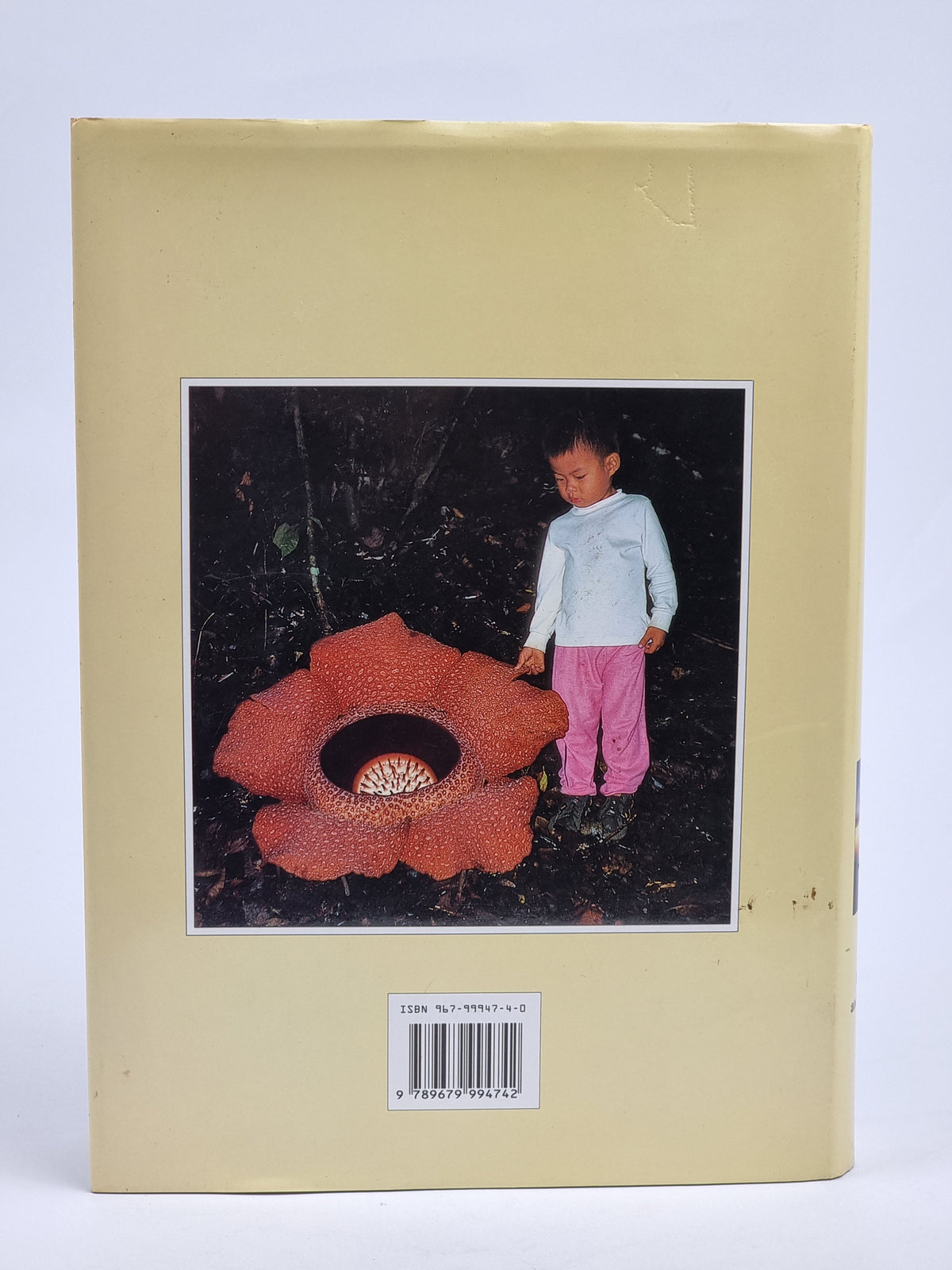 Kinabalu: Summit of Borneo, K.M. Wong and A. Phillipps — 2nd Ed