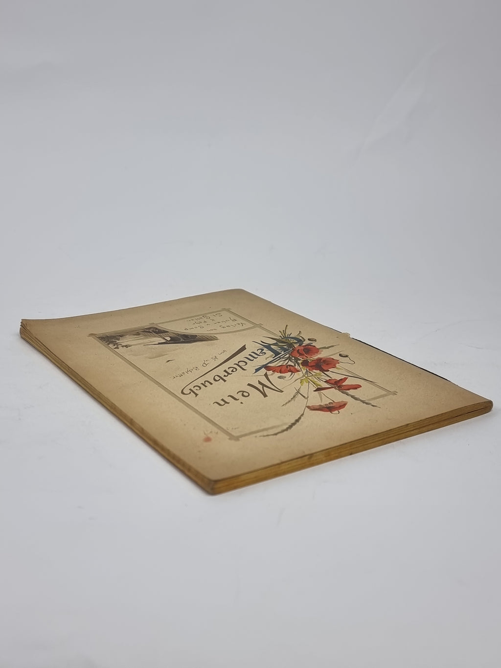 Mein Wanderbuch, S. D. Schlatter — 1st Edition