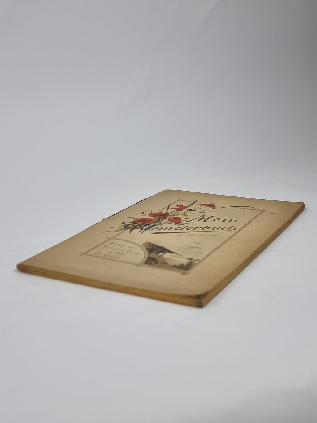 Mein Wanderbuch, S. D. Schlatter — 1st Edition