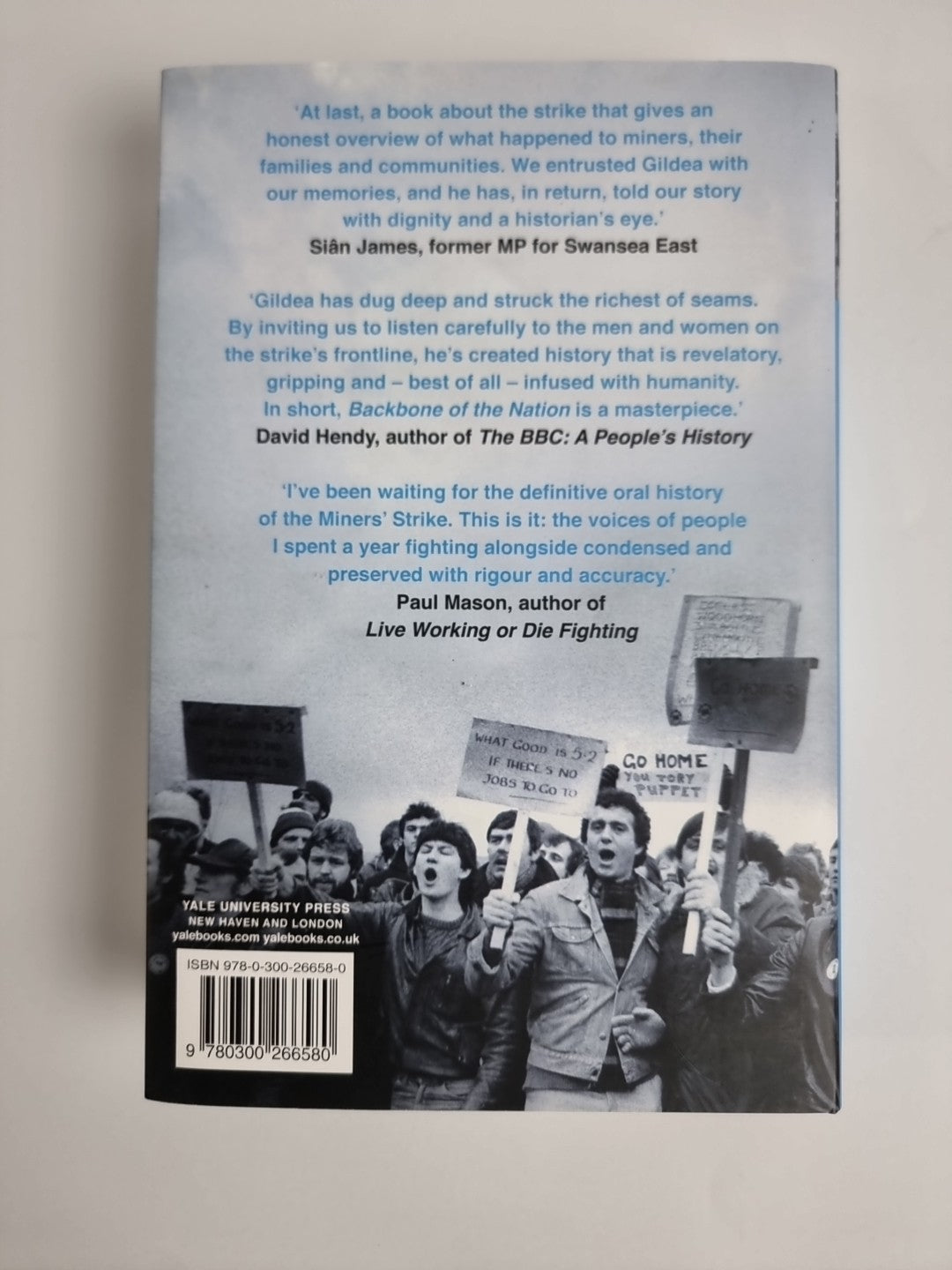 Backbone of the Nation by Robert Gildea - 1st Edition 1st Print   Hardback