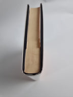 The Blue Afternoon by William Boyd (Hardcover, 1993)