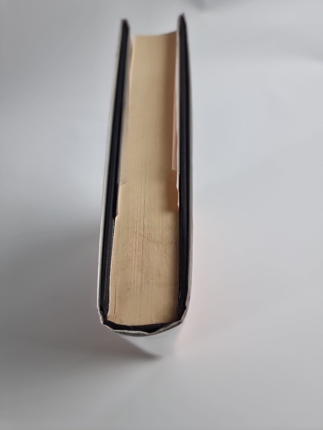 The Blue Afternoon by William Boyd (Hardcover, 1993)