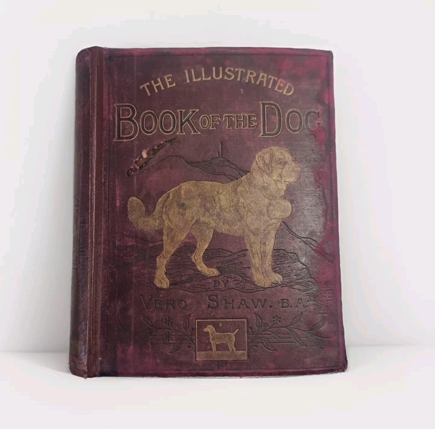 The Illustrated Book of the Dog. SHAW, Vero Kemball 1881 1st Edition
