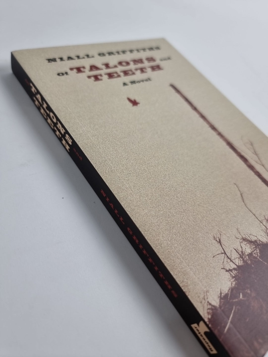 Niall Griffiths Of Talons and Teeth (Paperback)