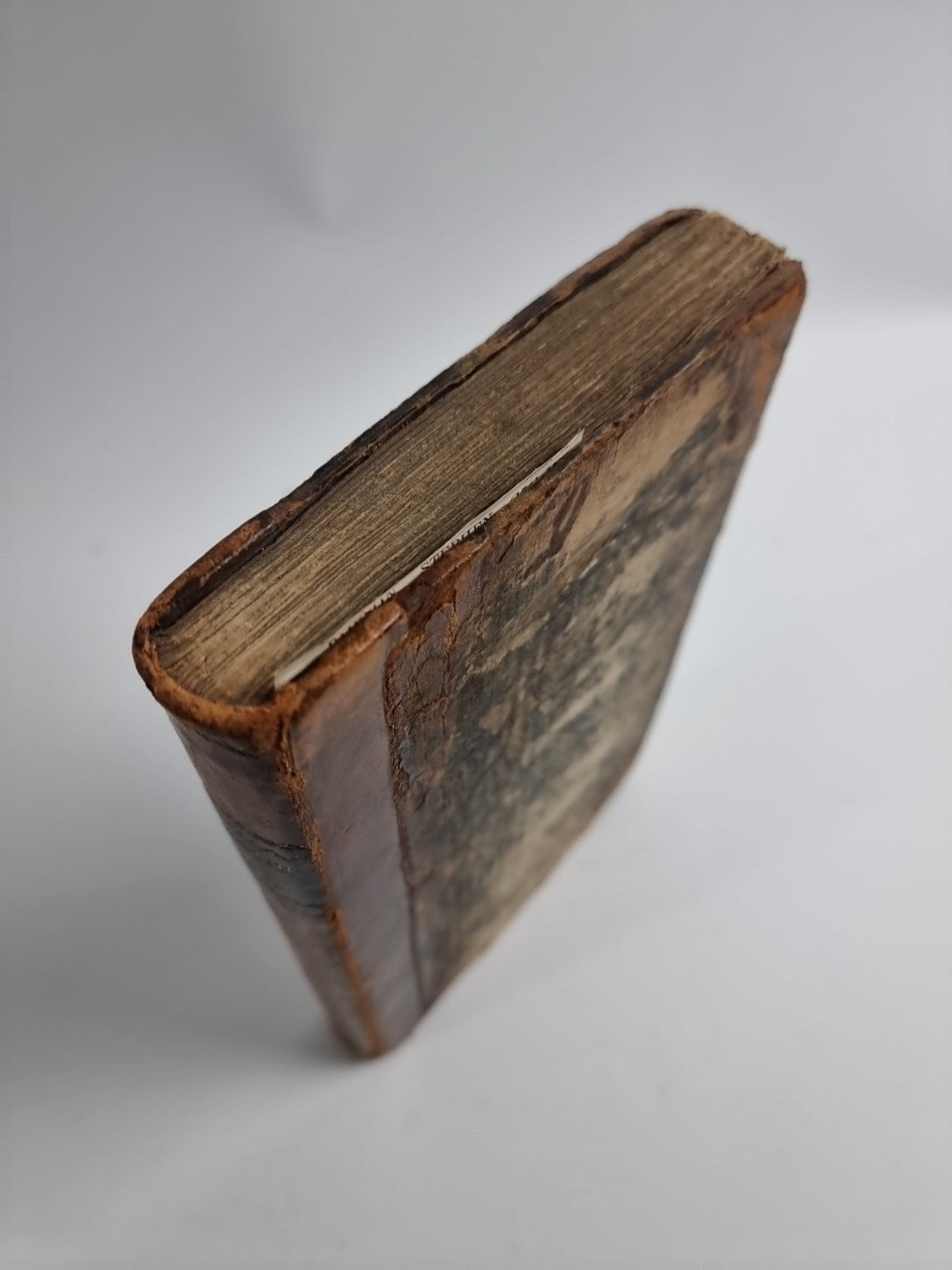 The British Flora. Containing the Select Names Characters, Places of Growth 1777