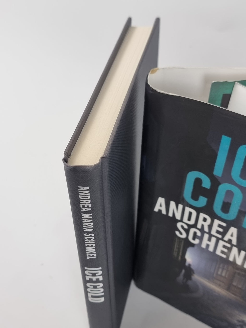 Ice Cold, Andrea Maria Schenkel - First Edition, As New