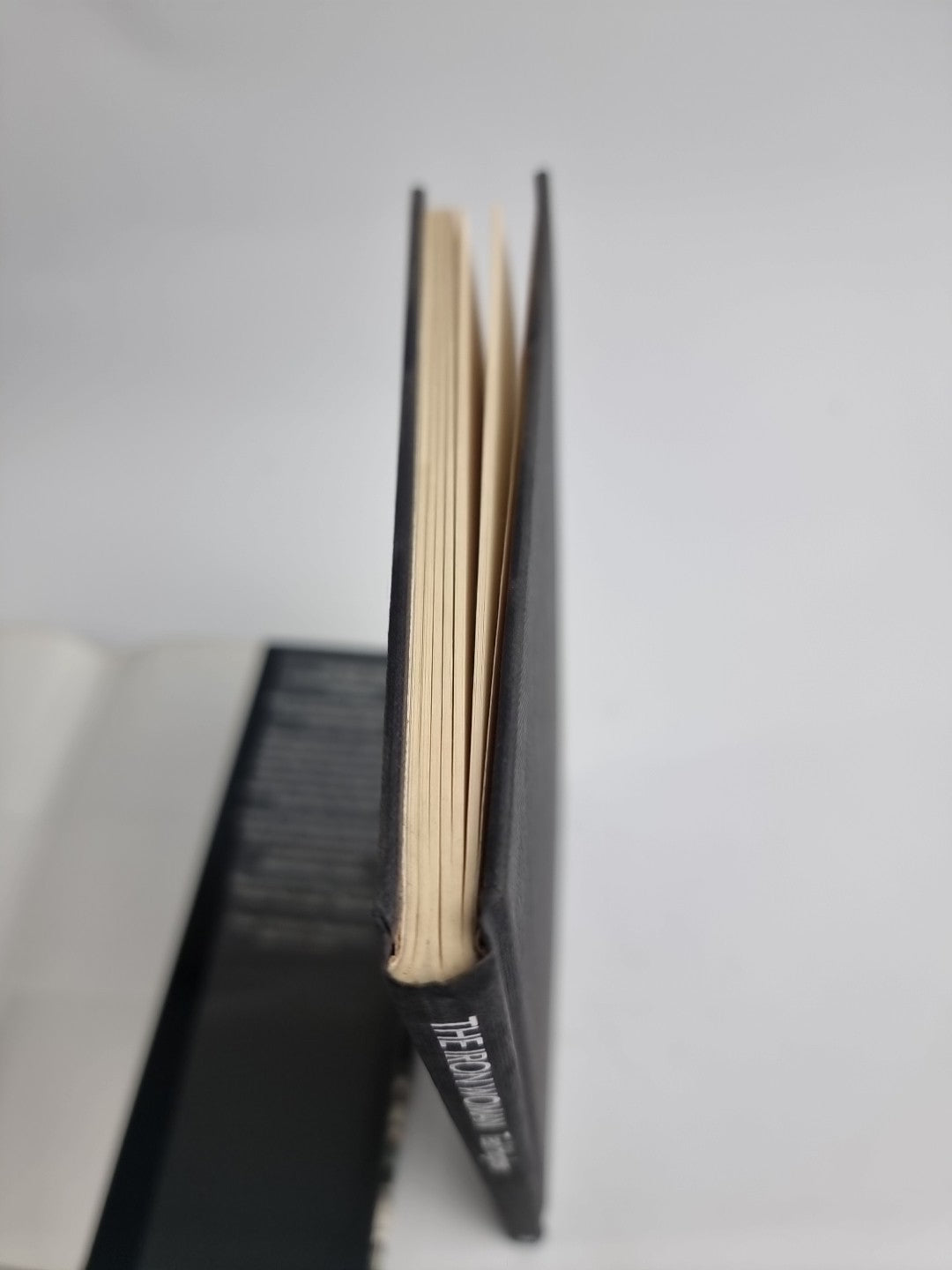 The Iron Woman Ted Hughes 1993 Hardback First edition & printing New And Unread 