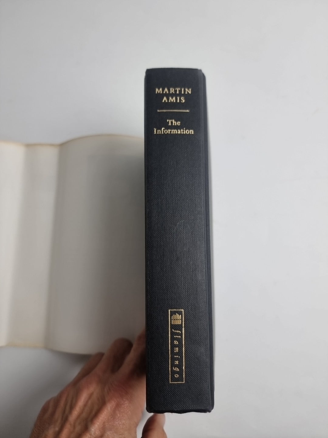 Martin Amis, The Information (Hardback, 1995) 1st/1st UK**** SIGNED****