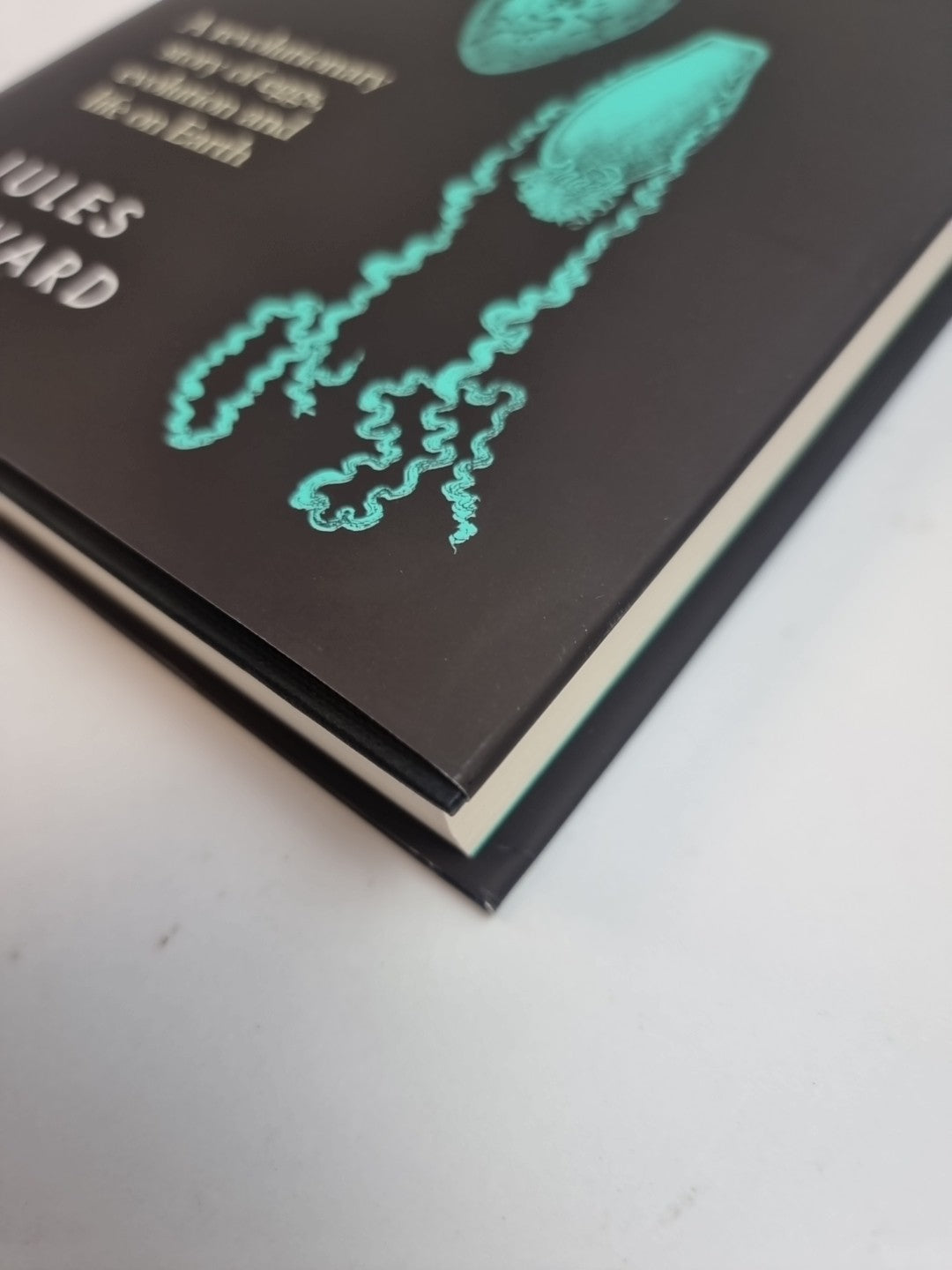 Infinite Life: A Revolutionary Story of Eggs Evolution by J Howard Free Delivery