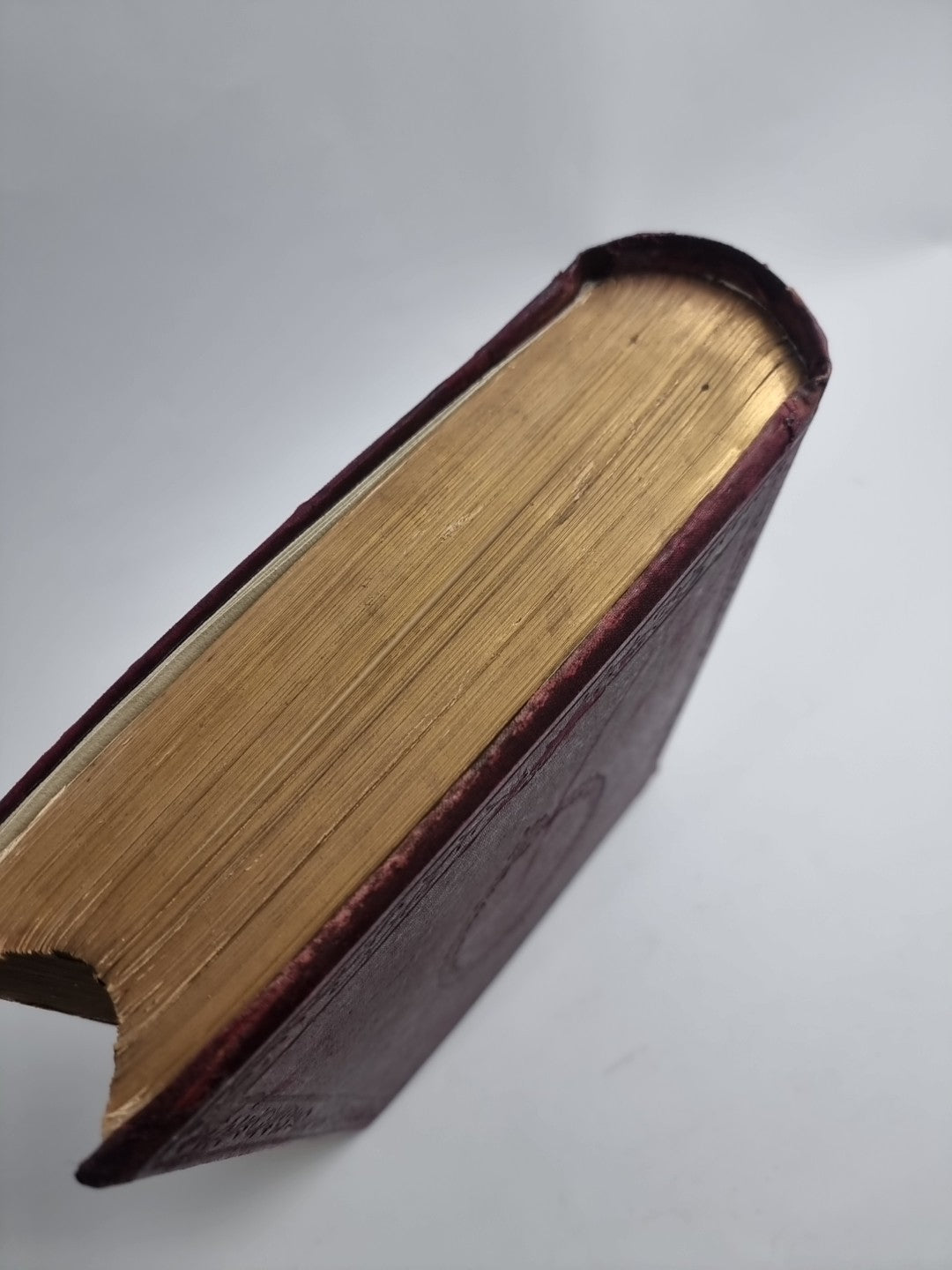 The Illustrated Book of the Dog. SHAW, Vero Kemball 1881 1st Edition