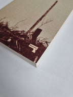 Niall Griffiths Of Talons and Teeth (Paperback)