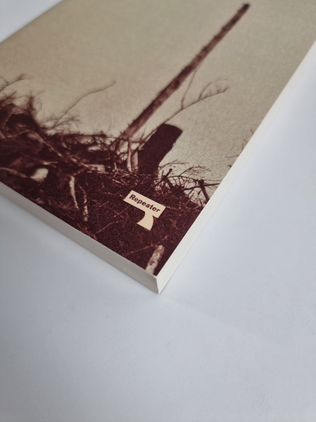 Niall Griffiths Of Talons and Teeth (Paperback)