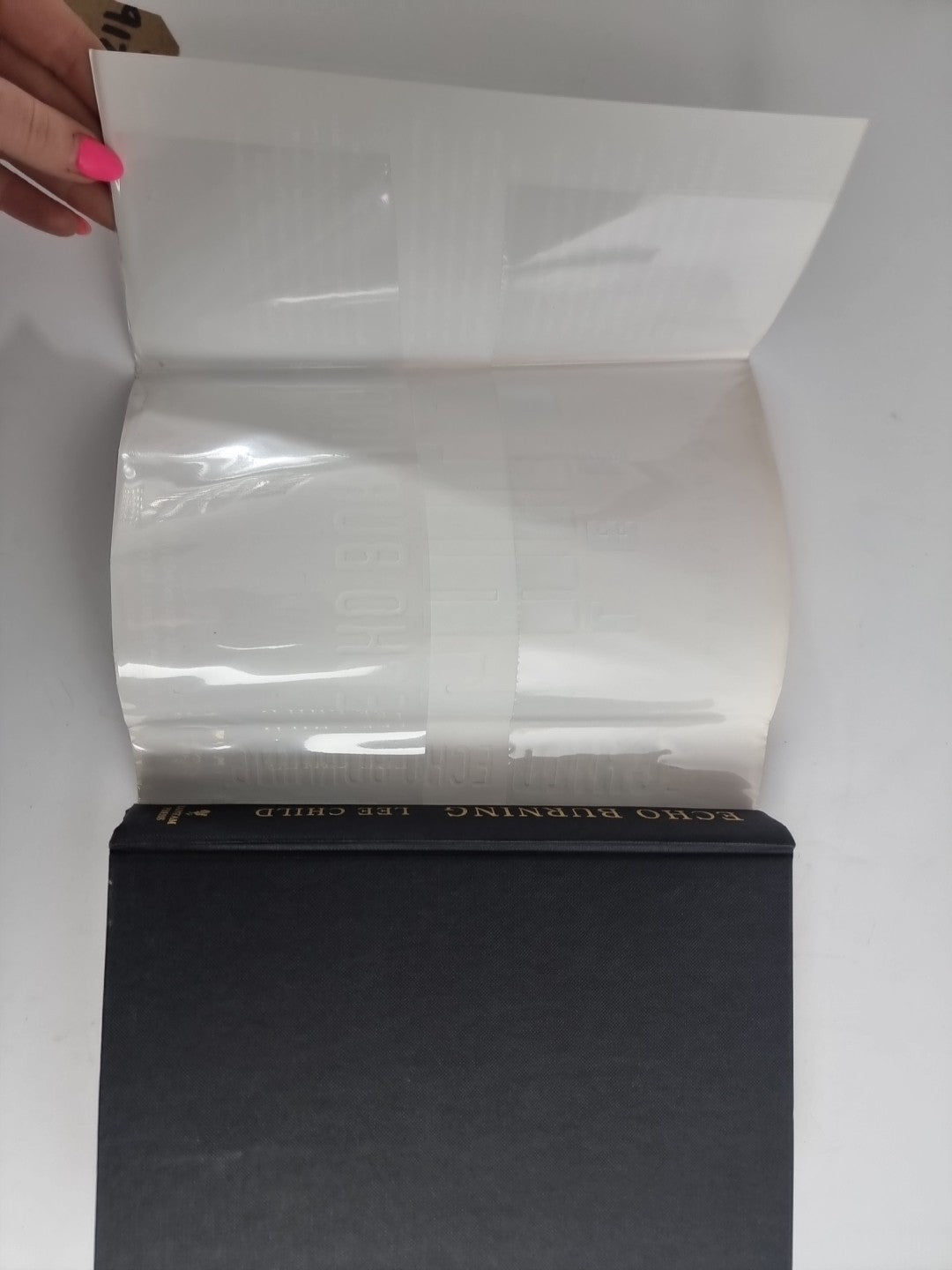 Echo Burning by Lee Child (Hardcover, 2001) 1st Edition New