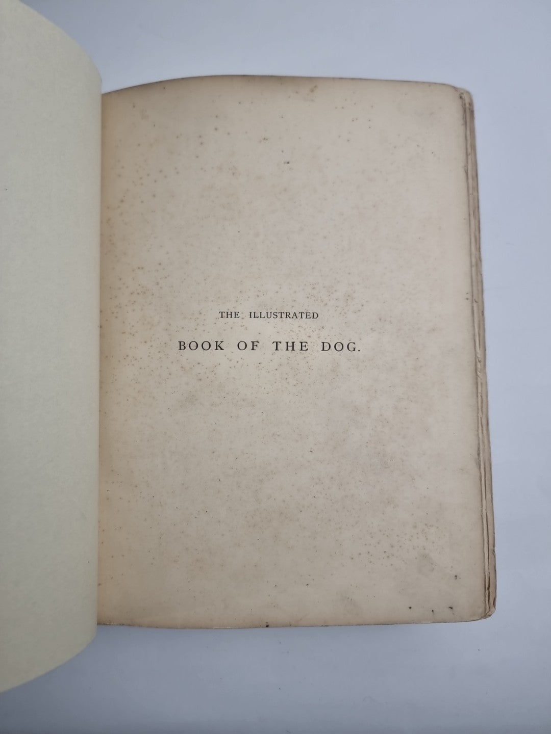 The Illustrated Book of the Dog. SHAW, Vero Kemball 1881 1st Edition
