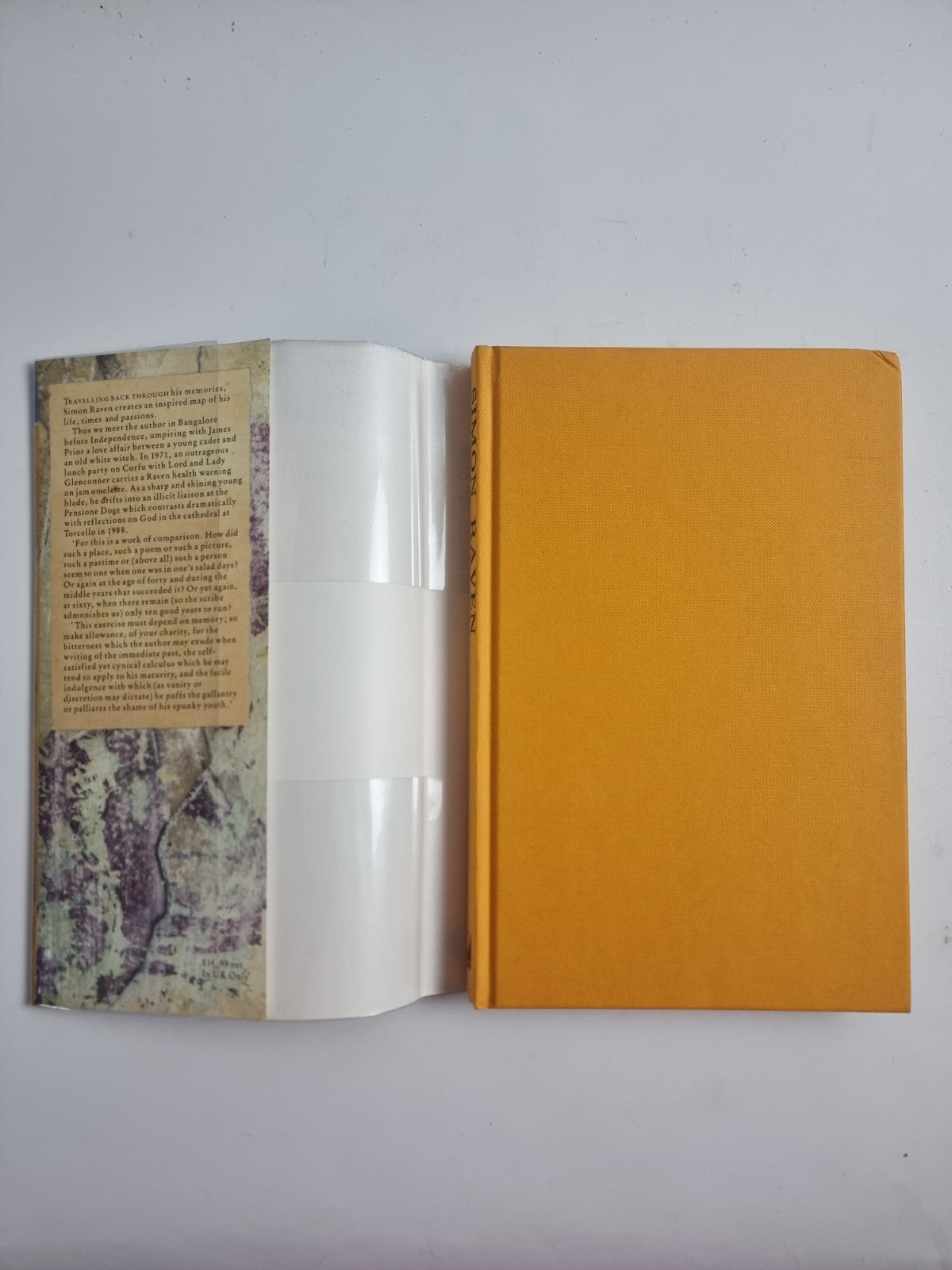 Is There Anybody There? Said The Traveller, Simin Raven — First Edition