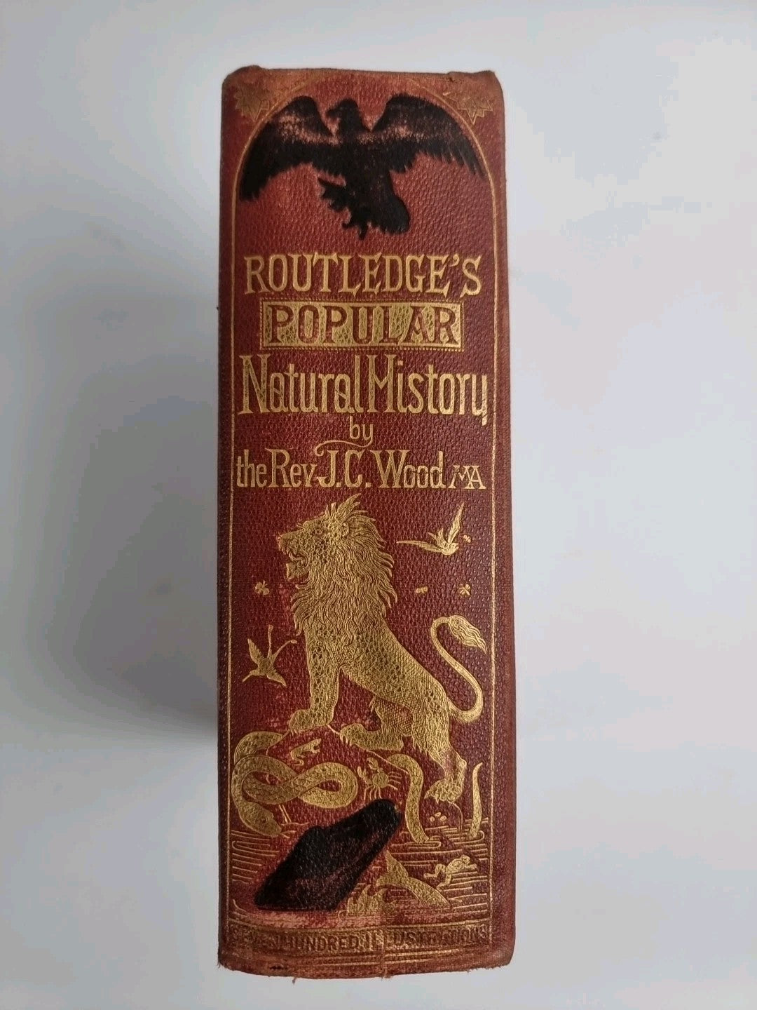 Routledge's Popular Natural History, Rev. J G Wood 1874, 