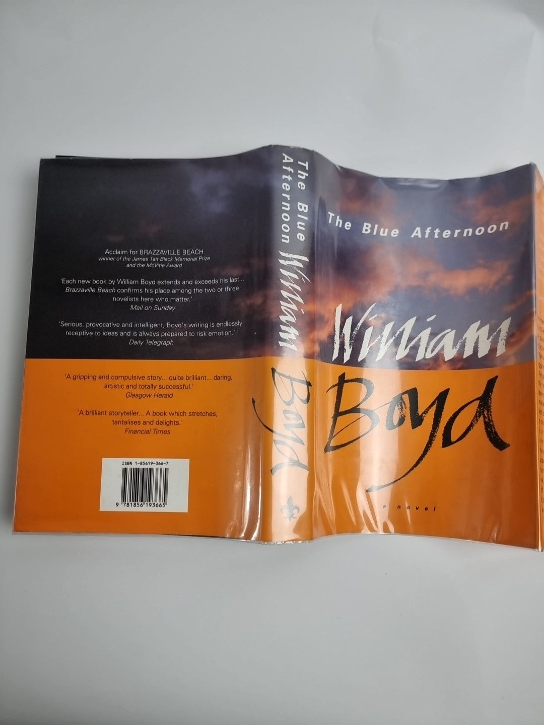 The Blue Afternoon by William Boyd (Hardcover, 1993)