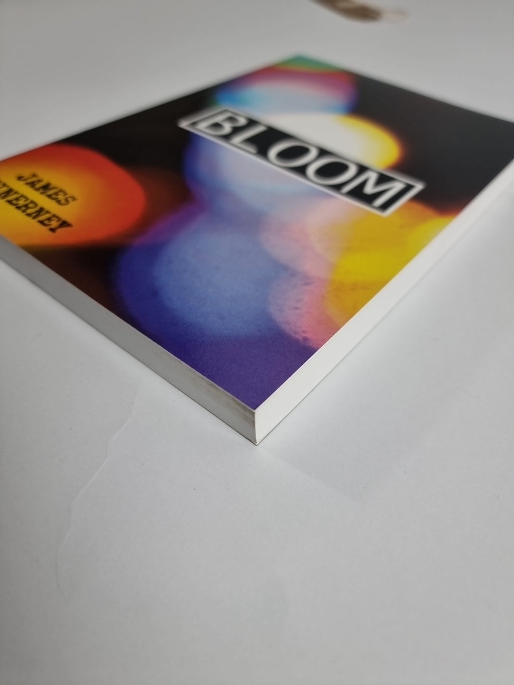 Bloom by James Mclnerney (Paperback, 2016) NEW Signed