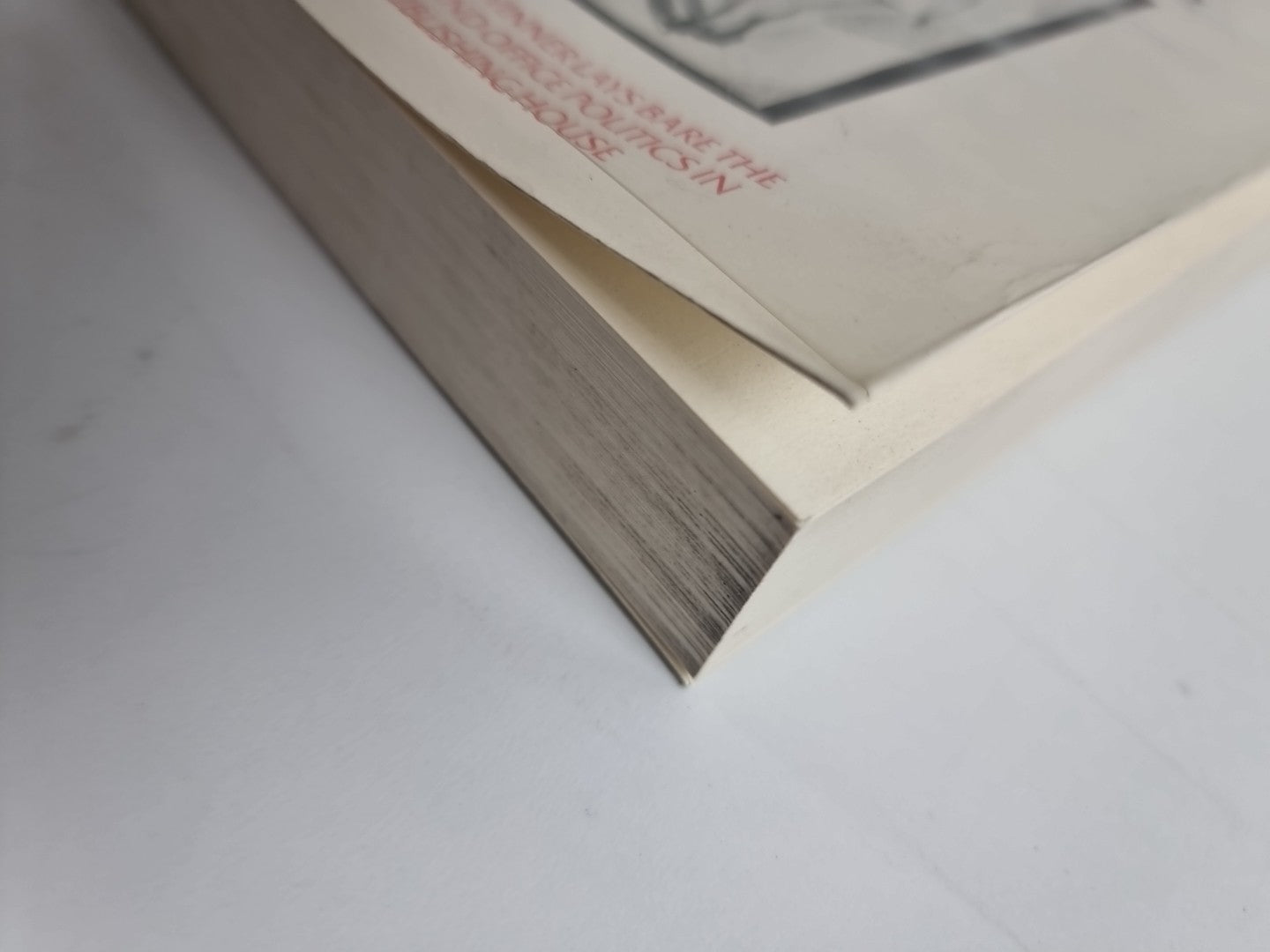 Difficulties with Girls-Kingsley Amis (Hardcover, 1988) Uncorrected proof 1/500