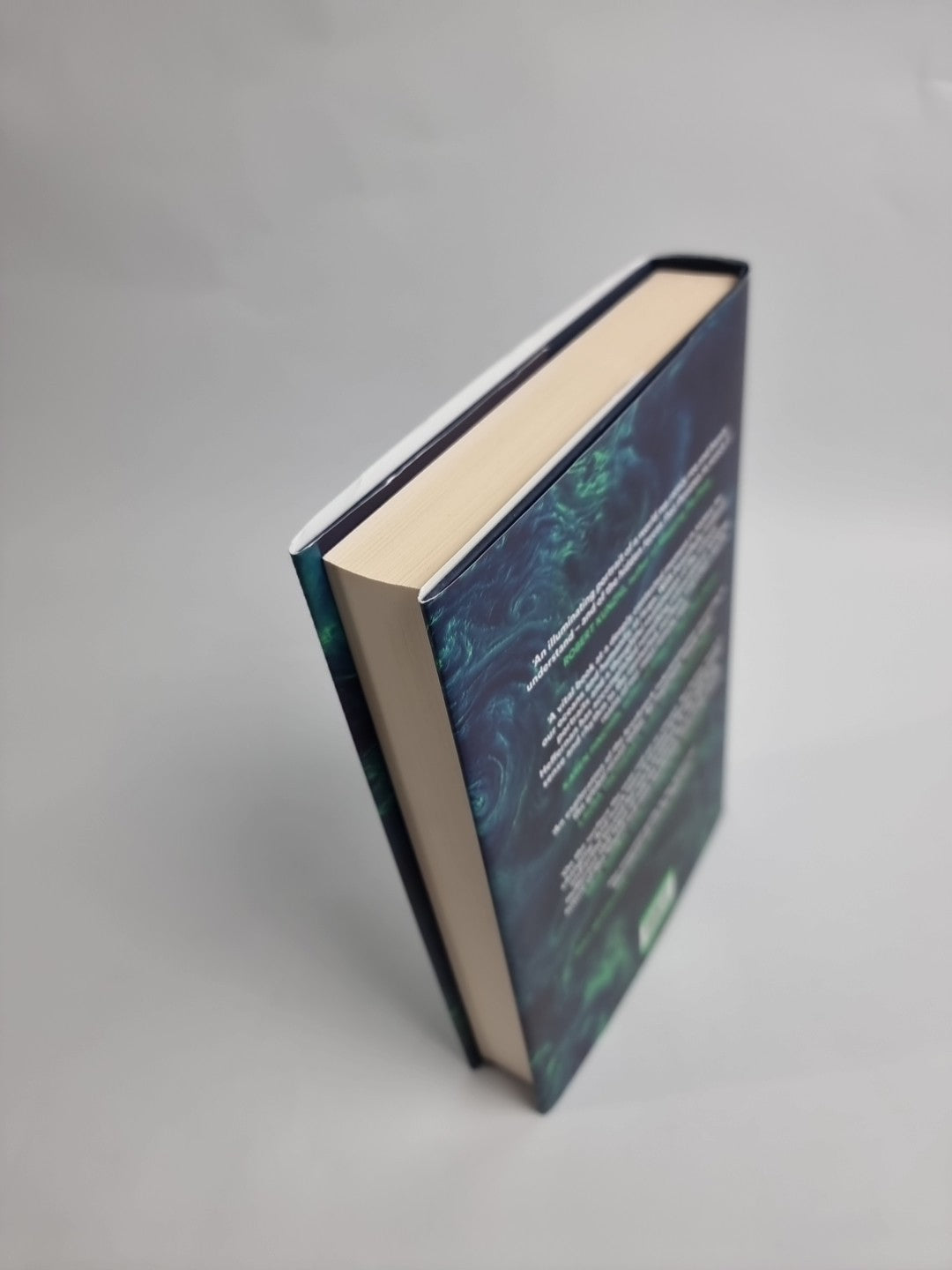 The High Seas: Ambition, Power and Greed on the Unclaimed Ocean by Olive Heffern