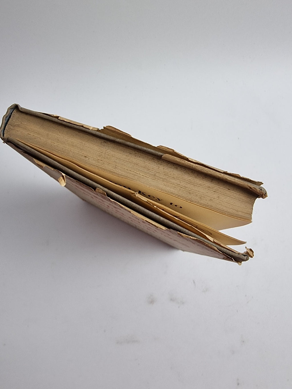 A Skeleton Key To Finnegans Wake Joseph Campbell/Henry Morton Robinson — 1st Ed.