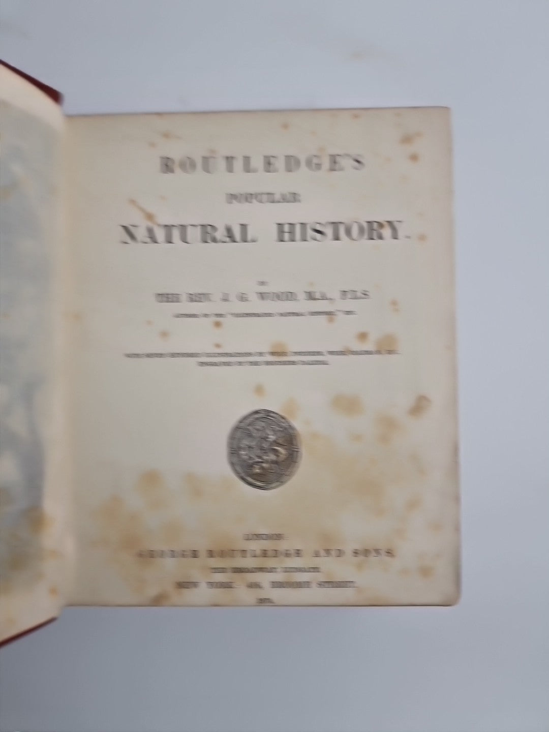Routledge's Popular Natural History, Rev. J G Wood 1874, 