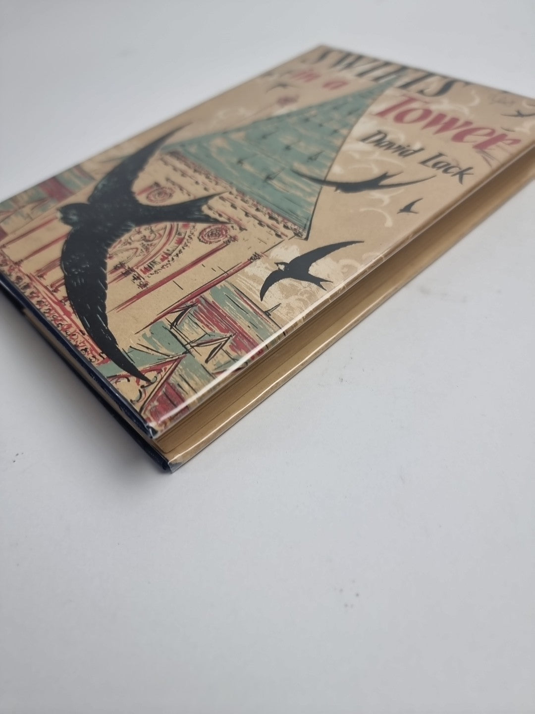 Swifts in a Tower - David Lack - 1956 1st Edition, Fine HB-DJ