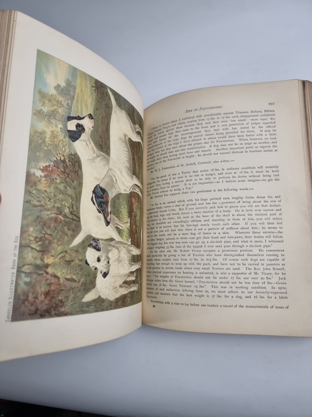 The Illustrated Book of the Dog. SHAW, Vero Kemball 1881 1st Edition