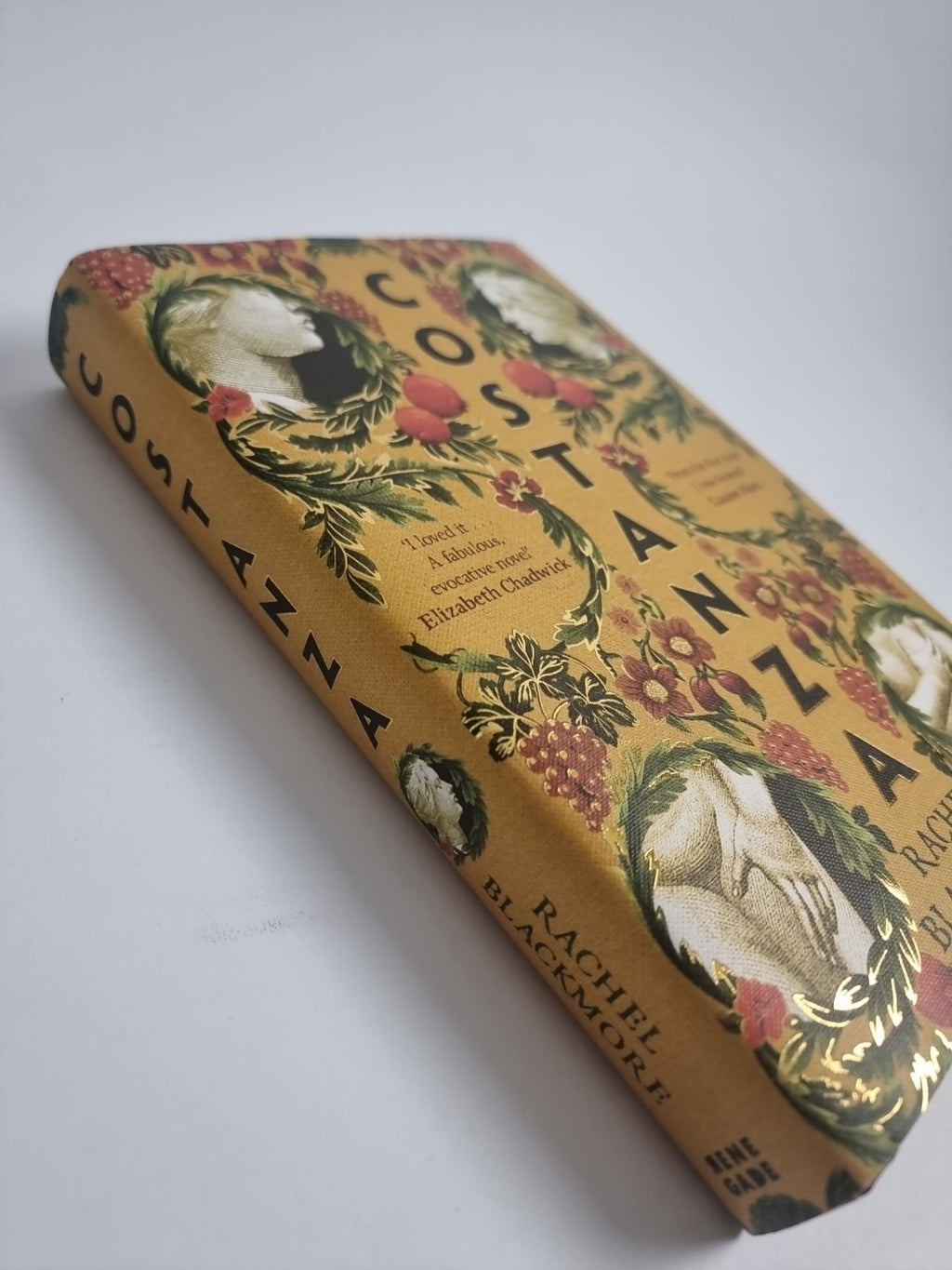 Costanza By Rachel Blackmore SIGNED Copy 2024 1st Edition. HB