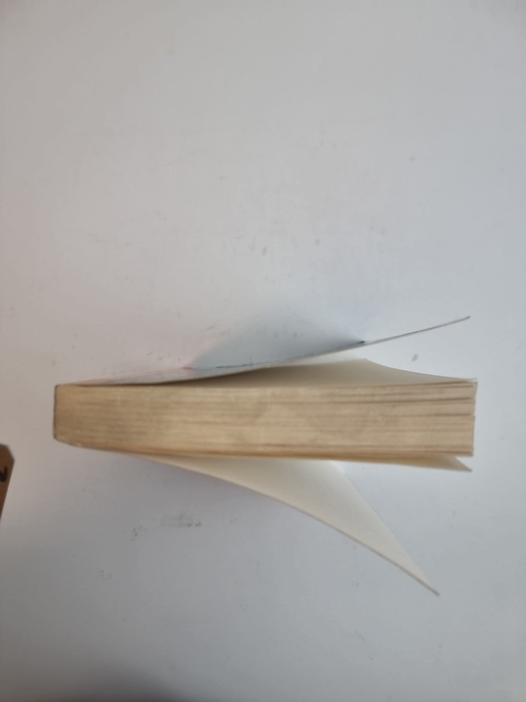 My Mother: Demonology by ACKER (Paperback, 1994) Signed 1st Ed New Free Delivery