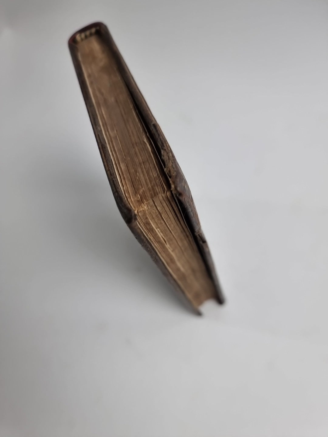 Synoptical Compend of British Botany, GALPINE, John Rare 1806 1st Edition 