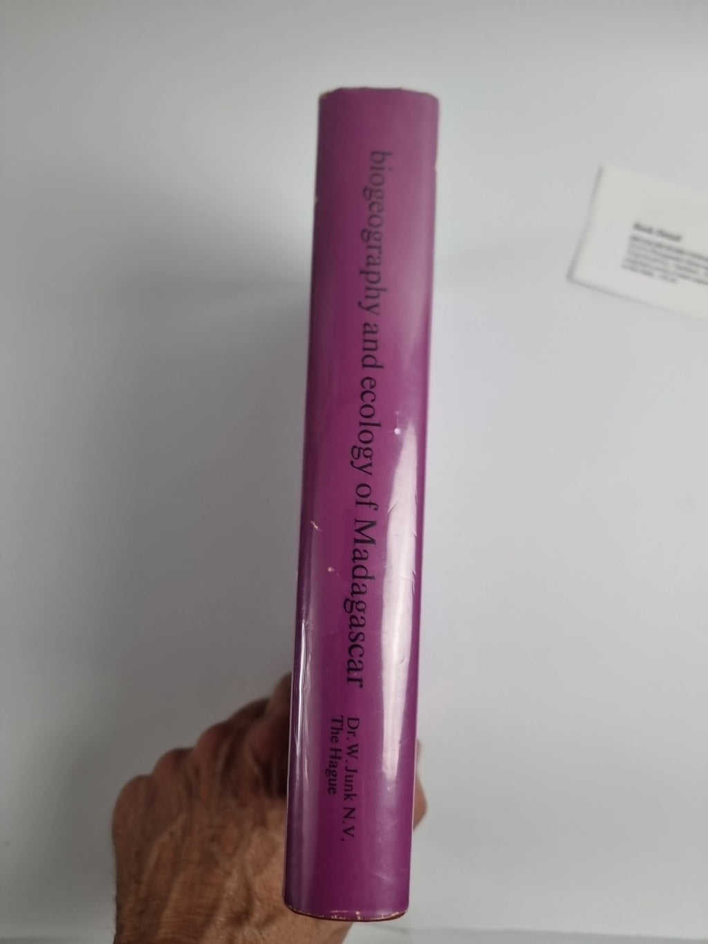 Biogeography and Ecology in Madagascar (Taschenbuch)G. Richard-Vindard