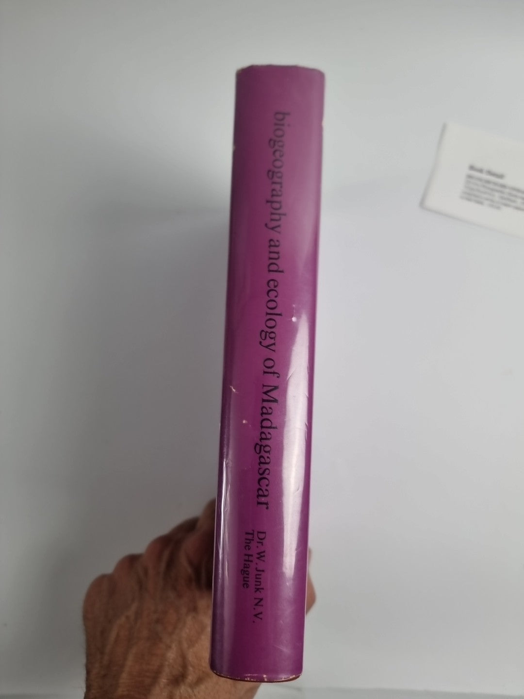 Biogeography and Ecology in Madagascar (Taschenbuch)G. Richard-Vindard