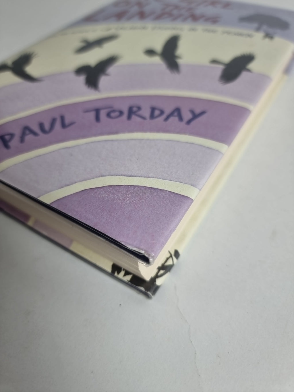 The Girl On The Landing By Paul Torday. 1st Edition