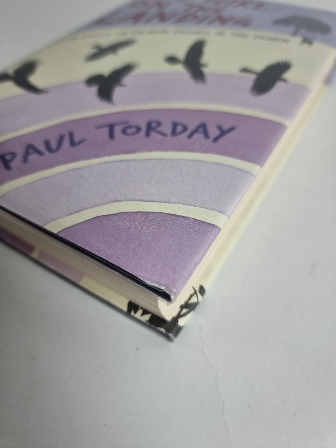 The Girl On The Landing By Paul Torday. 1st Edition